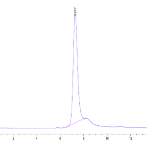 HPLC of Mouse CD74/DHLAG Protein 4052