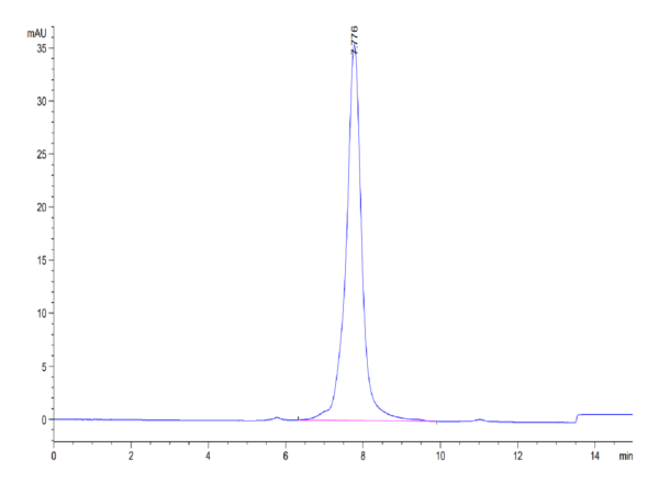 HPLC of Biotinylated Cynomolgus GDF15 Protein (Primary Amine Labeling)  4056