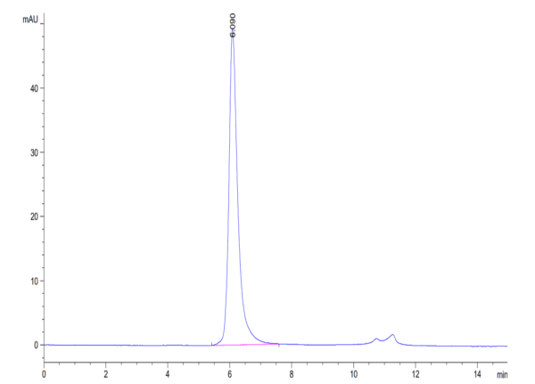 HPLC of Biotinylated Human VEGF R2/KDR Protein 4069