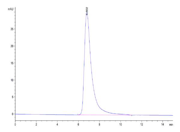 HPLC of Biotinylated Human TGF-beta RII/TGFBR2 Protein 4073