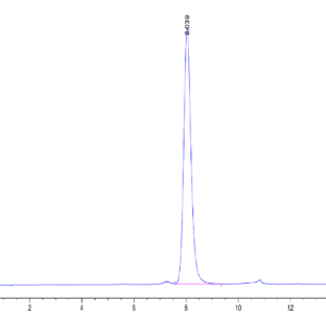 HPLC of Human SIRP Beta 1 isoform 3 Protein 4079