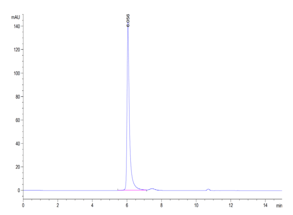 HPLC of Biotinylated Human HLA-E*01:03&B2M&Peptide (VMAPRTLVL) Tetramer 4080