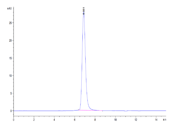 HPLC of Cynomolgus SIRP alpha/CD172a Protein 4082