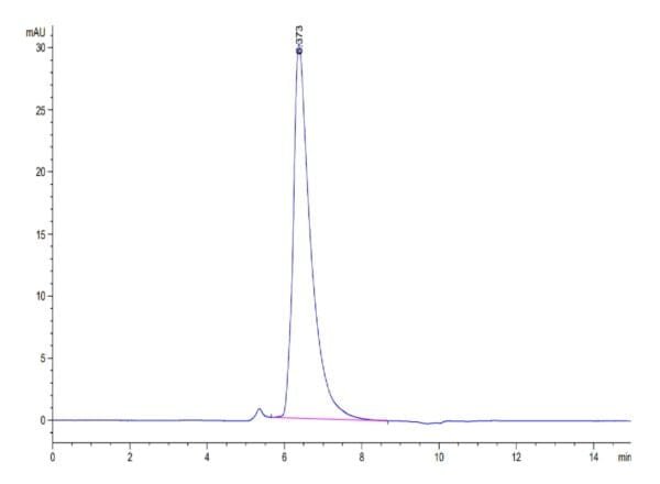 HPLC of Biotinylated Human SLAMF7/CRACC/CD319 Protein 4083