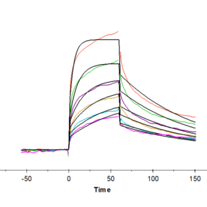 SPR with Human CD209/DC-SIGN Protein 4084