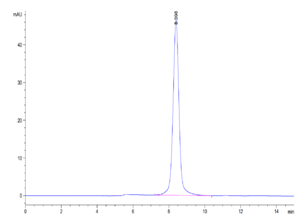 HPLC of Mouse IL-5 R alpha/CD125 Protein 4092