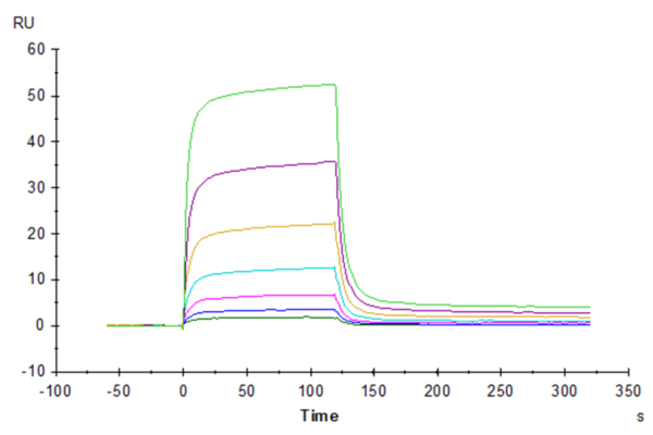 SPR with Biotinylated Human PD-L2/B7-DC Protein 4096