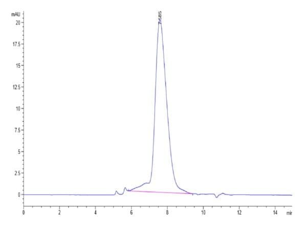 HPLC of Biotinylated Human PD-L2/B7-DC Protein 4096