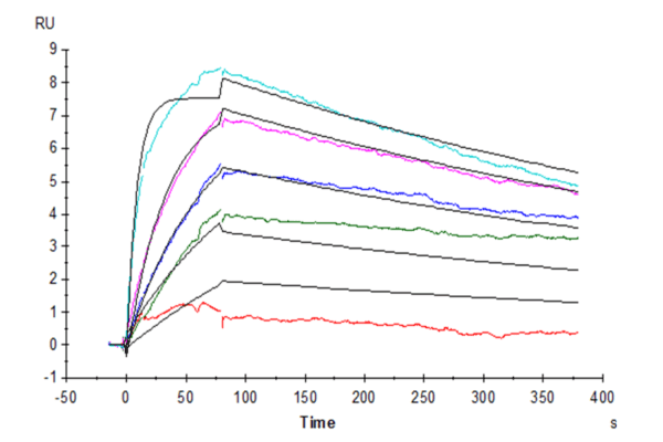 SPR with Human IL-31 Protein 4097