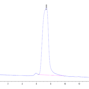 HPLC of Mouse CX3CL1/Fractalkine Protein 4098