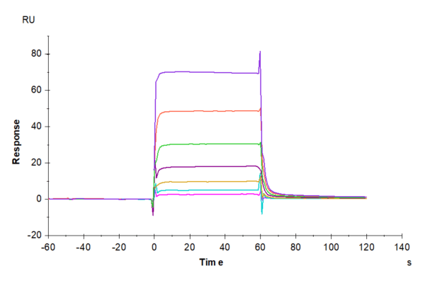 SPR with Biotinylated Human PD-1/PDCD1 Protein 4100