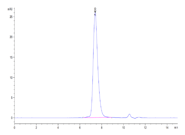 HPLC of Biotinylated Human PD-1/PDCD1 Protein 4100