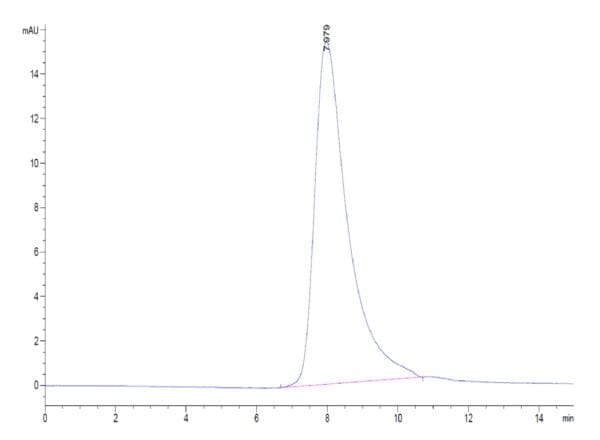 HPLC of Biotinylated Human NKp30/NCR3/CD337 Protein 4103