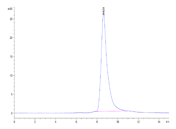 HPLC of Human Nectin-4 Protein IgV Domain 4104