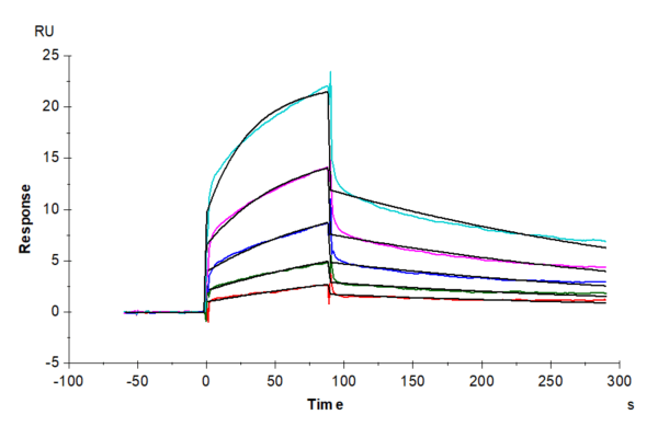 SPR with Biotinylated Human Nectin-1/PVRL1/CD111 Protein 4106