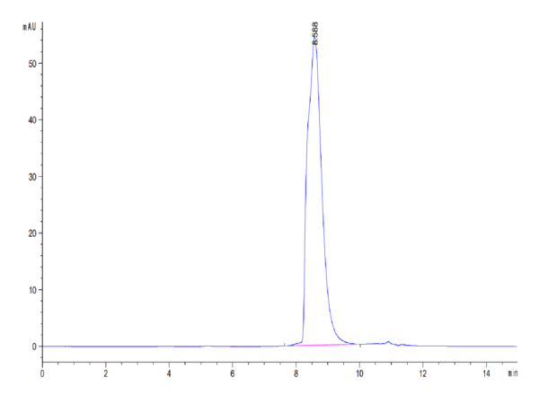 HPLC of Biotinylated Human LAG3/CD223 Protein 4112