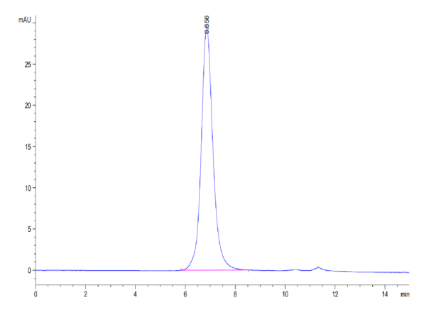 HPLC of Biotinylated Human IL-13Ra1 Protein 4113