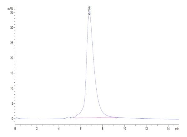 HPLC of Human IL-6 R alpha/CD126 Protein 4114