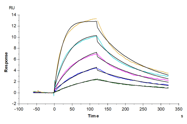 SPR with Biotinylated Human IL-5 Protein 4118