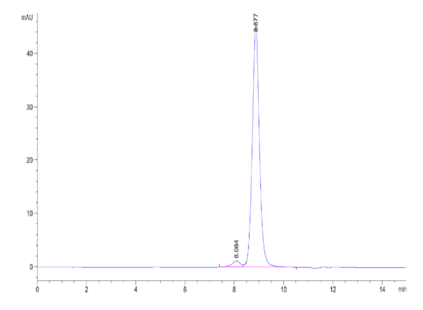 HPLC of Biotinylated Human IL-12 Protein 4125