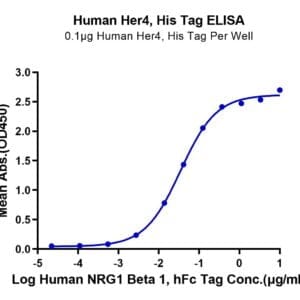 ELISA with Human Her4/ErbB4 Protein 4129
