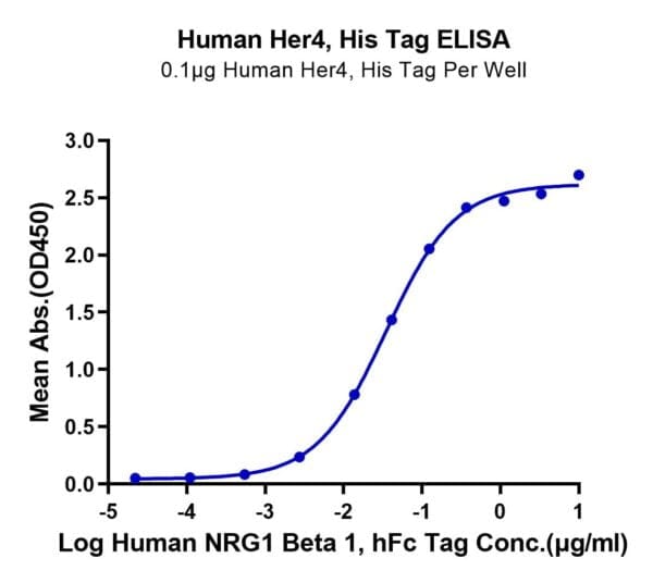 ELISA with Human Her4/ErbB4 Protein 4129