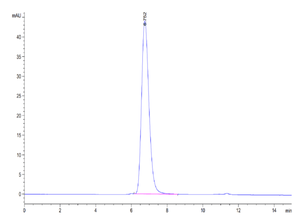 HPLC of Human Her4/ErbB4 Protein 4129