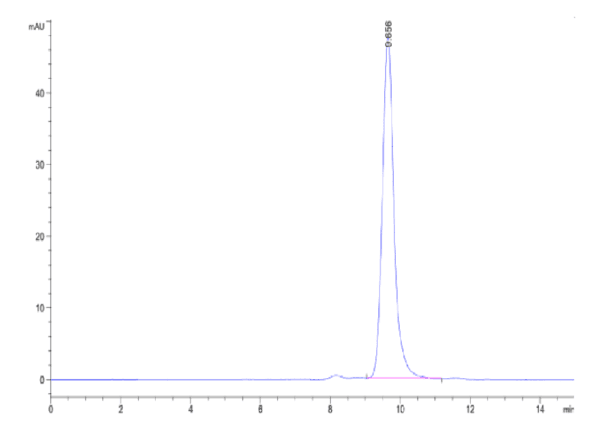 HPLC of Biotinylated Human FcRn Protein 4138