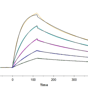 SPR with Human CD28H/IGPR-1 Protein 4143