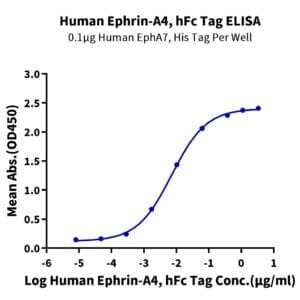 ELISA with Human Ephrin-A4/EFNA4 Protein 4147