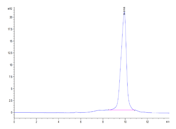 HPLC of Cynomolgus/Rhesus macaque TIGIT Protein 4156