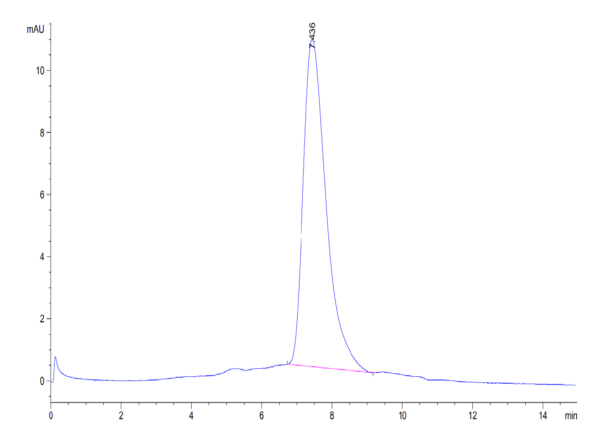 HPLC of Biotinylated Human DNAM-1/CD226 Protein 4162