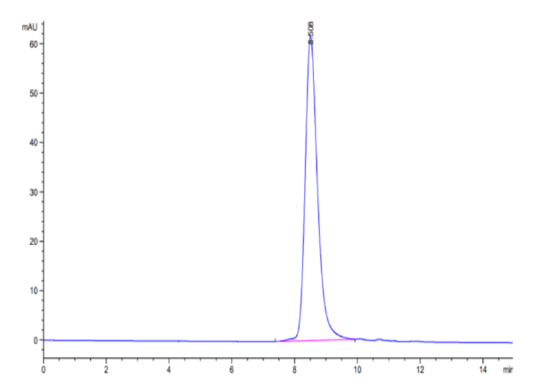 HPLC of Biotinylated Human CLEC12A/MICL/CLL-1 Protein 4176