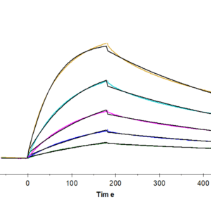 SPR with Human IFN alpha/beta R2 Protein 4177
