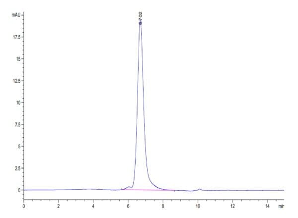 HPLC of Biotinylated Human CD27 Ligand/CD70 Trimer Protein (Primary Ami 4179