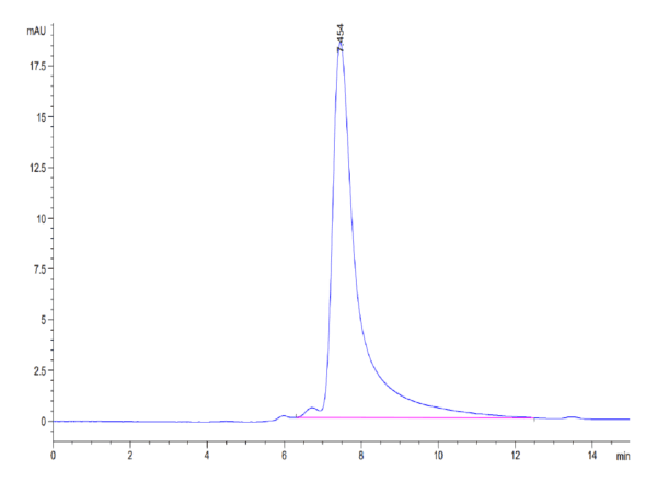 HPLC of Human CD98 Protein 4182