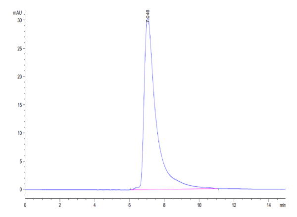 HPLC of Human CD84/SLAMF5 Protein 4183