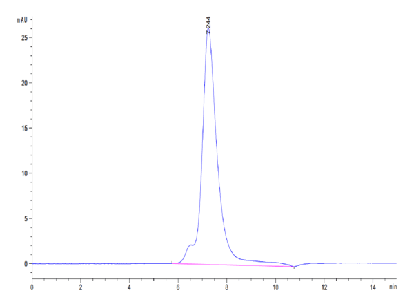 HPLC of Biotinylated Human IL-2 R alpha/CD25 Protein 4191