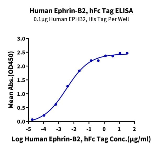 ELISA with Human Ephrin-B2/EFNB2 Protein 4200