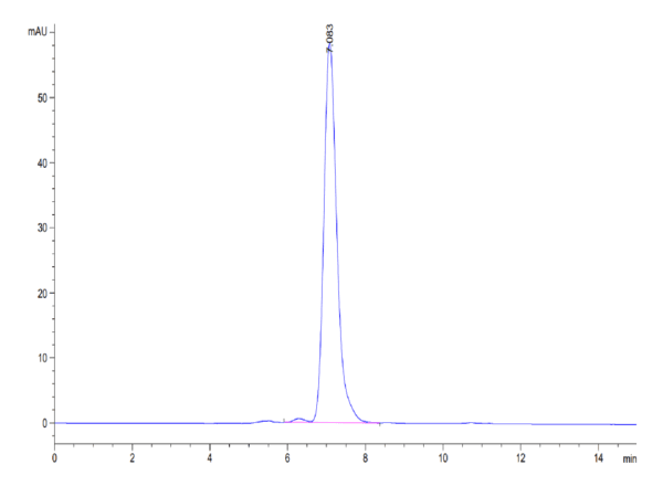 HPLC of Human Ephrin-B2/EFNB2 Protein 4200