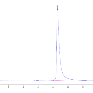 HPLC of Mouse CLEC12A/MICL/CLL-1 Protein 4201