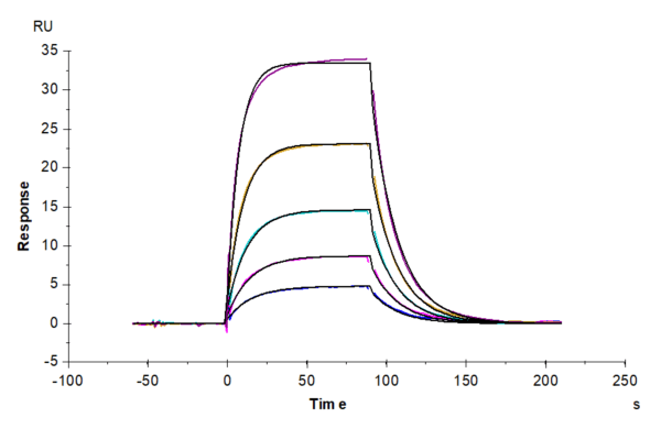 SPR with Mouse ICOS/CD278 Protein 4203