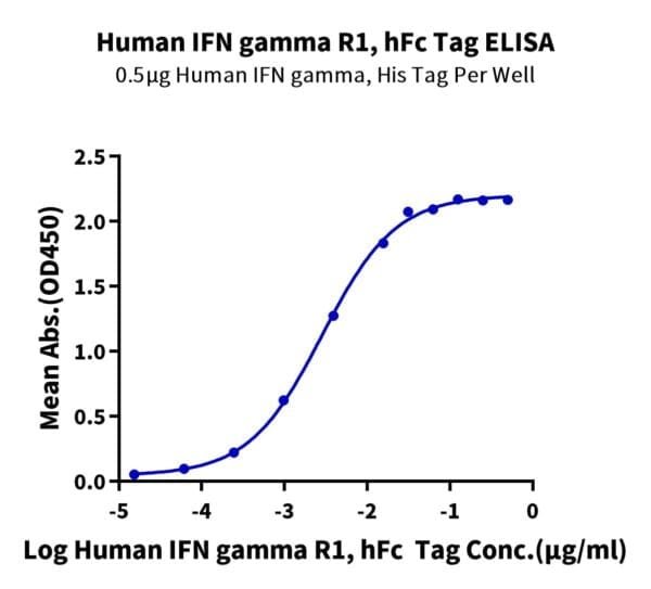 ELISA with Human IFN gamma R1/IFNGR1 Protein 4204