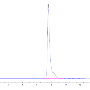HPLC of Human SLAMF1/SLAM/CD150 Protein 4205