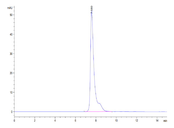 HPLC of Human SLAMF1/SLAM/CD150 Protein 4205