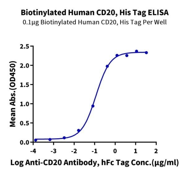 ELISA with Biotinylated Human CD20/MS4A1 Protein 4206