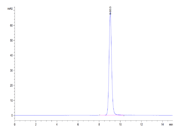 HPLC of Biotinylated Human EpCAM/TROP1 Protein 4213