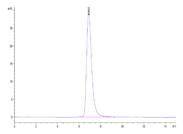 HPLC of Biotinylated Human IL-18 R1/CD218a Protein 4219