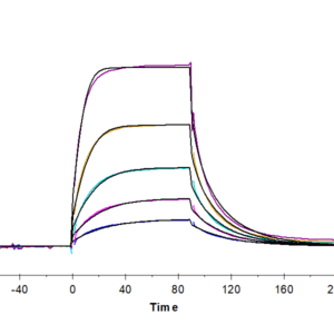 SPR with Cynomolgus B7-2/CD86 Protein 4230