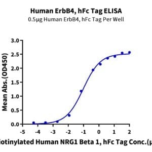 ELISA with Human Her4/ErbB4 Protein 4243